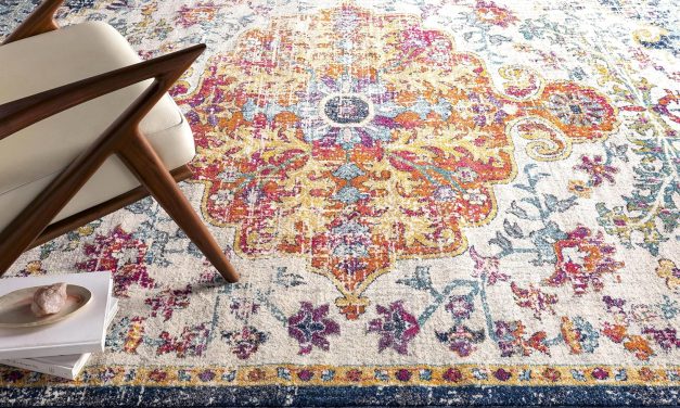 Don’t Miss This Hot Deal On A Gorgeous Area Rug